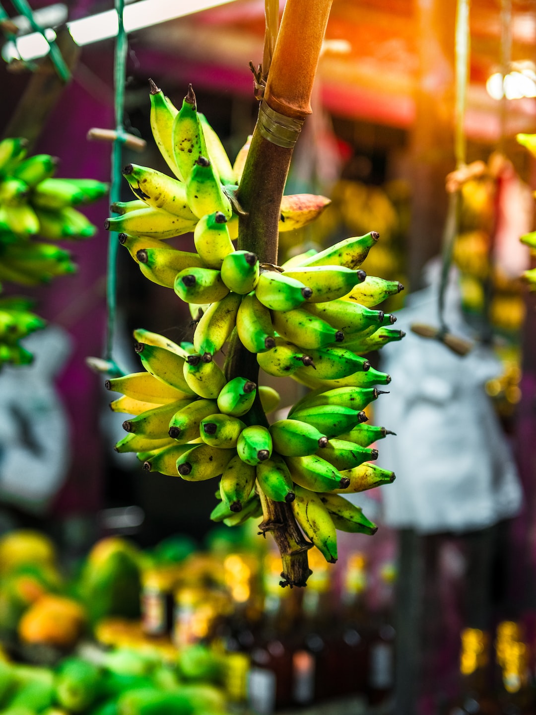 Can Happy Shaman’s Lights Out Gummies Help with Anxiety? A Closer Look
